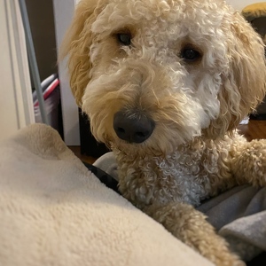 Fundraising Page: Lindsey Kincaid